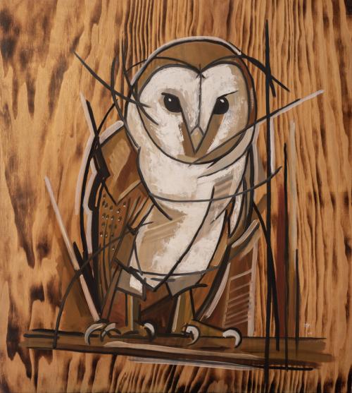 Owl