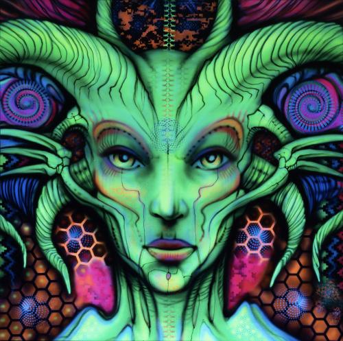 Soubor Psy Zone